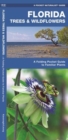 Image for Florida Trees &amp; Wildflowers : A Folding Pocket Guide to Familiar Species