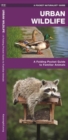 Image for Urban Wildlife : A Folding Pocket Guide to Familiar Species
