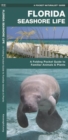 Image for Florida Seashore Life : A Folding Pocket Guide to Familiar Plants and Animals