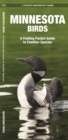 Image for Minnesota Birds : A Folding Pocket Guide to Familiar Species