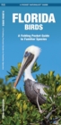 Image for Florida Birds
