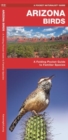 Image for Arizona Birds : A Folding Pocket Guide to Familiar Species