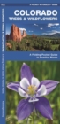 Image for Colorado Trees &amp; Wildflowers : A Folding Pocket Guide to Familiar Plants