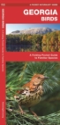 Image for Georgia Birds : A Folding Pocket Guide to Familiar Species