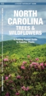 Image for North Carolina Trees &amp; Wildflowers : A Folding Pocket Guide to Familiar Species