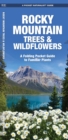 Image for Rocky Mountain Trees &amp; Wildflowers : A Folding Pocket Guide to Familiar Species
