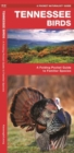 Image for Tennessee Birds : A Folding Pocket Guide to Familiar Species
