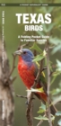 Image for Texas Birds : A Folding Pocket Guide to Familiar Species