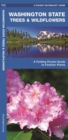 Image for Washington State Trees &amp; Wildflowers : A Folding Pocket Guide to Familiar Species