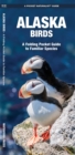 Image for Alaska Birds : A Folding Pocket Guide to Familiar Species