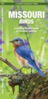 Image for Missouri Birds : A Folding Pocket Guide to Familiar Species