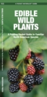 Image for Edible Wild Plants : A Folding Pocket Guide to Familiar North American Species