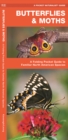 Image for Butterflies &amp; Moths : A Folding Pocket Guide to Familiar North American Species