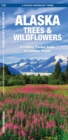 Image for Alaska Trees &amp; Wildflowers : A Folding Pocket Guide to Familiar Species
