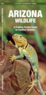 Image for Arizona Wildlife : A Folding Pocket Guide to Familiar Species