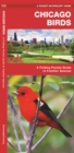 Image for Chicago Birds : A Folding Pocket Guide to Familiar Species in Northeastern Illinois
