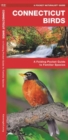 Image for Connecticut Birds : A Folding Pocket Guide to Familiar Species