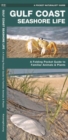 Image for Gulf Coast Seashore Life : A Folding Pocket Guide to Familiar Plants and Animals