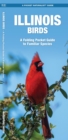 Image for Illinois Birds : A Folding Pocket Guide to Familiar Species