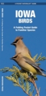 Image for Iowa Birds : A Folding Pocket Guide to Familiar Species