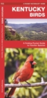 Image for Kentucky Birds : A Folding Pocket Guide to Familiar Species