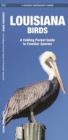 Image for Louisiana Birds : A Folding Pocket Guide to Familiar Species
