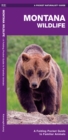 Image for Montana Wildlife : A Folding Pocket Guide to Familiar Animals