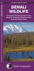 Image for Denali Wildlife : A Folding Pocket Guide to the Wildlife of Denali National Park &amp; Denali State Park