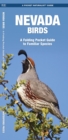 Image for Nevada Birds : A Folding Pocket Guide to Familiar Species