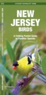 Image for New Jersey Birds : A Folding Pocket Guide to Familiar Species
