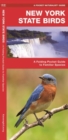 Image for New York State Birds : A Folding Pocket Guide to Familiar Species