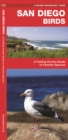 Image for San Diego Birds : A Folding Pocket Guide to Familiar Species