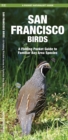 Image for San Francisco Birds : A Folding Pocket Guide to Familiar Bay Area Species