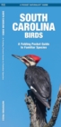 Image for South Carolina Birds : A Folding Pocket Guide to Familiar Species