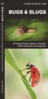 Image for Bugs &amp; Slugs : A Folding Pocket Guide to Familiar North American Invertebrates