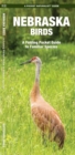 Image for Nebraska Birds : A Folding Pocket Guide to Familiar Species