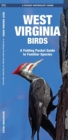 Image for West Virginia Birds : A Folding Pocket Guide to Familiar Species