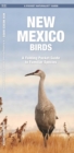 Image for New Mexico Birds : A Folding Pocket Guide to Familiar Species