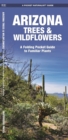 Image for Arizona Trees &amp; Wildflowers : A Folding Pocket Guide to Familiar Species