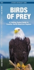 Image for Birds of Prey : A Folding Pocket Guide to Familiar North American Species