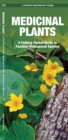 Image for Medicinal Plants : A Folding Pocket Guide to Familiar Widespread Species