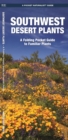Image for Southwestern Desert Plants : A Folding Pocket Guide to Familiar Species