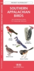 Image for Southern Appalachian Birds