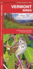 Image for Vermont Birds : A Folding Pocket Guide to Familiar Species