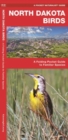 Image for North Dakota Birds : A Folding Pocket Guide to Familiar Species