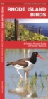Image for Rhode Island Birds : A Folding Pocket Guide to Familiar Species