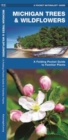 Image for Michigan Trees &amp; Wildflowers : A Folding Pocket Guide to Familiar Species