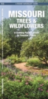 Image for Missouri Trees &amp; Wildflowers : A Folding Pocket Guide to Familiar Species