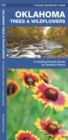 Image for Oklahoma Trees &amp; Wildflowers : A Folding Pocket Guide to Familiar Species