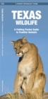 Image for Texas Wildlife : A Folding Pocket Guide to Familiar Species